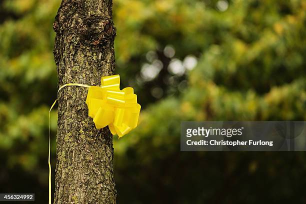 Yellow ribbon is tied to a tree in support of Islamic State hostage Alan Henning on September 29, 2014 in Salford, England. Neighbours of hostage...