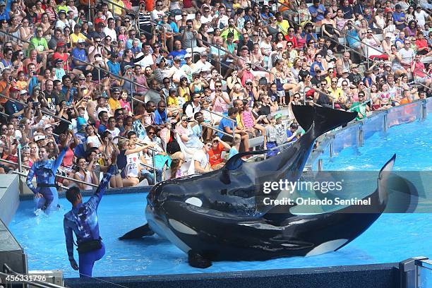 SeaWorld is heavily emphasizing conservation amid controversy over its killer whales, and it is not alone. Some aquariums around North America have...