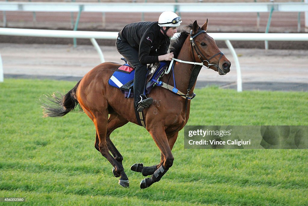 Melbourne Trackwork Session