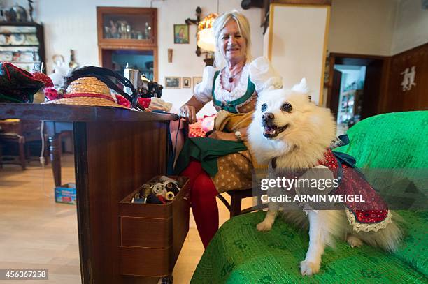 Dog "Spitzerich" wearing a traditional Bavarian "Dirndl" dress looks on as animal fashion designer Hildegard Bergbauer sits in her sewing room on...