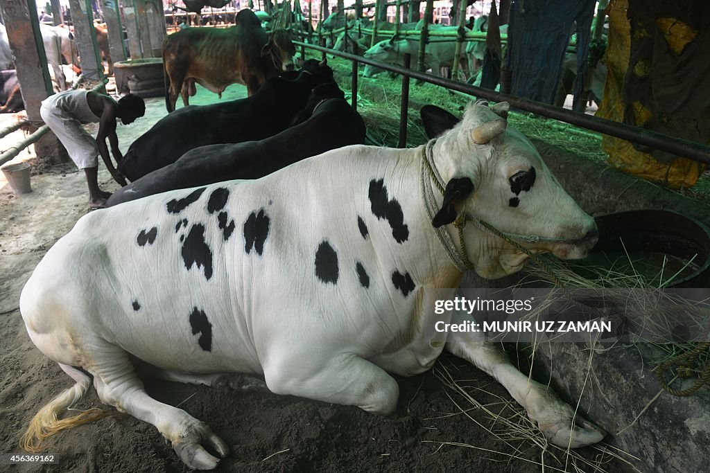 BANGLADESH-LIVESTOCK-EID