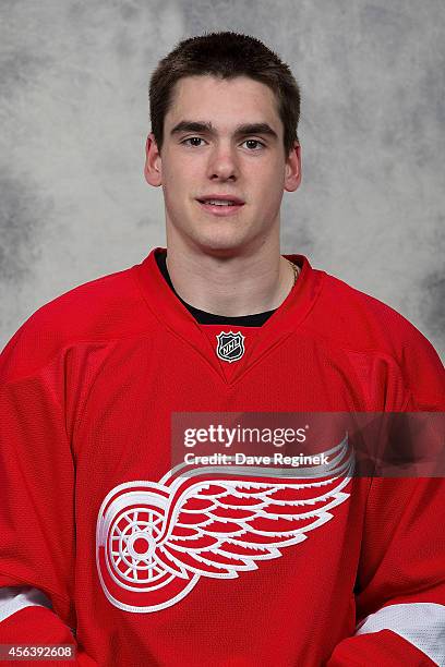 Dominic Turgeon of the Detroit Red Wings poses for his official headshot for the 2014-2015 season on September 18, 2014 at Joe Louis Arena in...