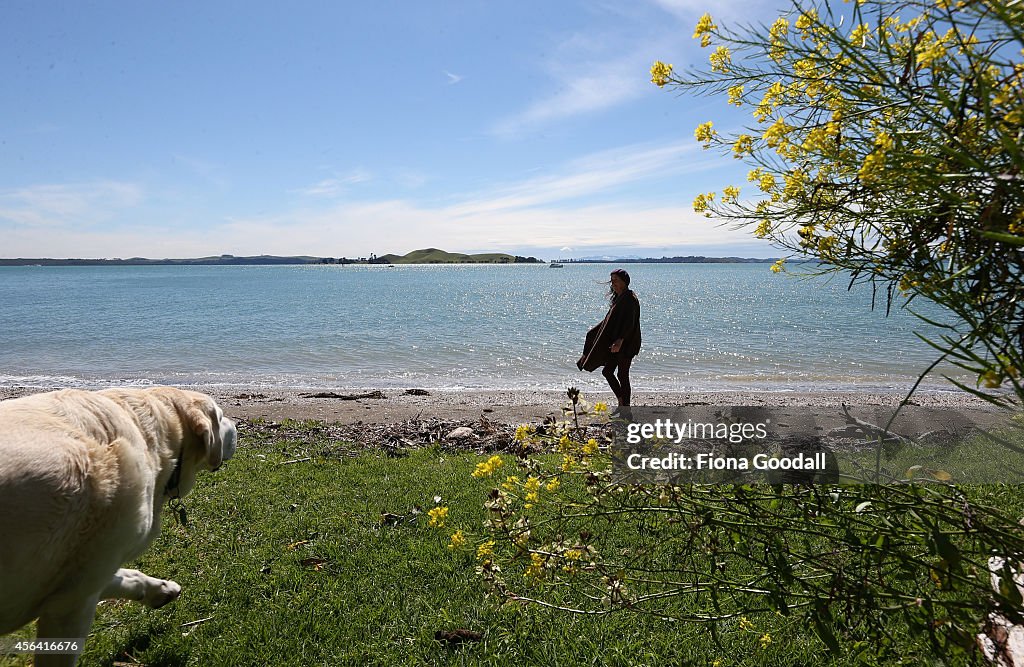 Artist Inspired By Tree-Living In Karaka Bay