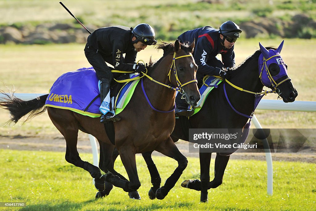 International Spring Carnival Contenders Trackwork Session