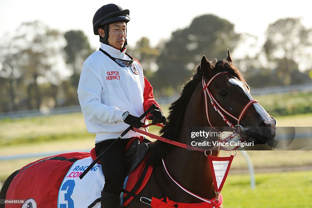 International Spring Carnival Contenders Trackwork Session