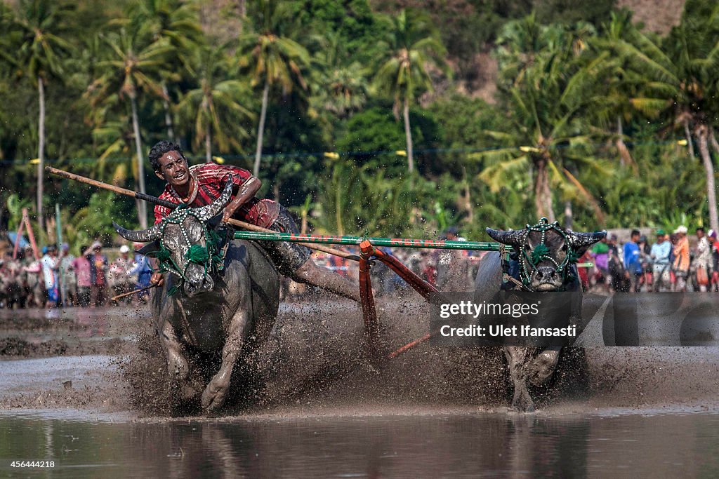 Revelers Gather For Annual Moyo Festival