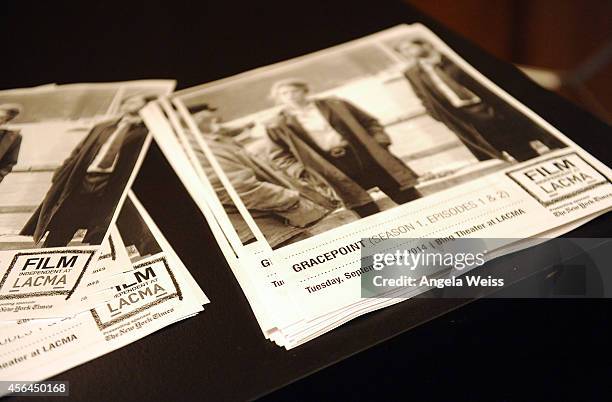 General view of atmosphere at the Film Independent Screening and Q&A of 'Gracepoint' at Bing Theatre at LACMA on September 30, 2014 in Los Angeles,...