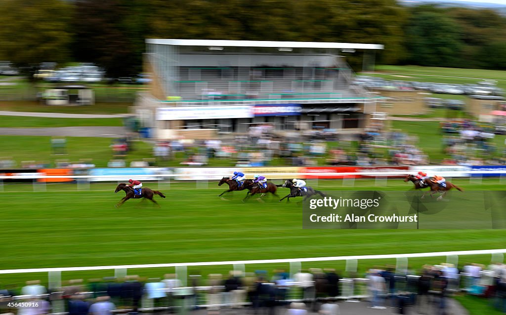 Salisbury Races