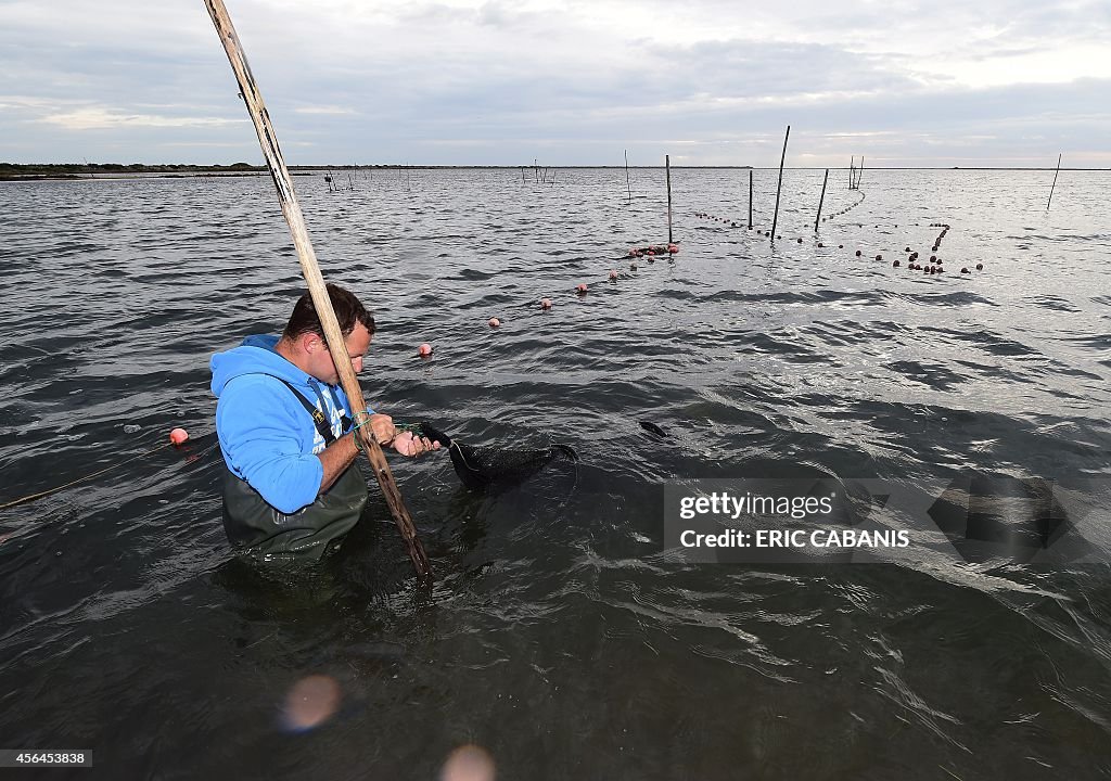 FRANCE-ECONOMIE-FISHING