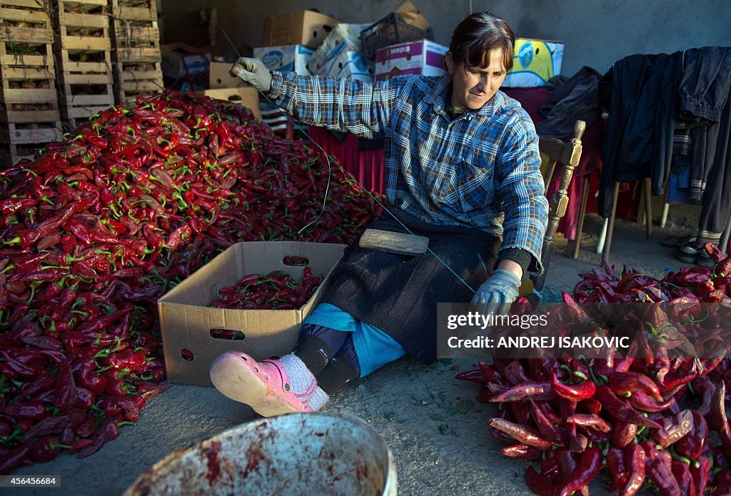 SERBIA-AGRICULTURE-PAPRIKA-FEATURE