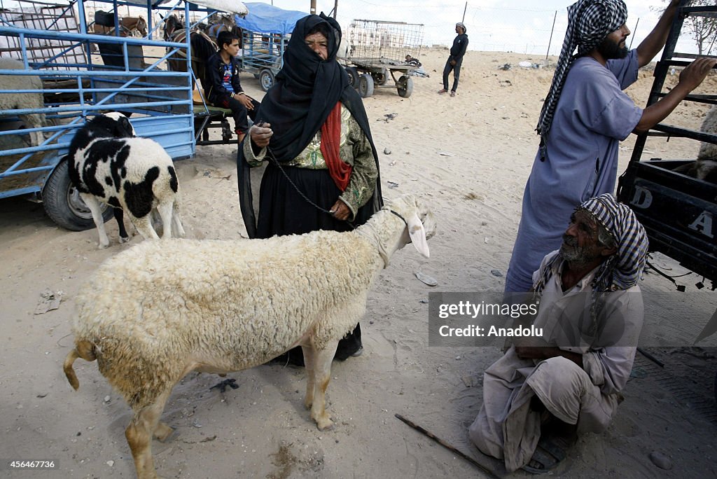 Eid al-Adha preparations in Khan Yunis