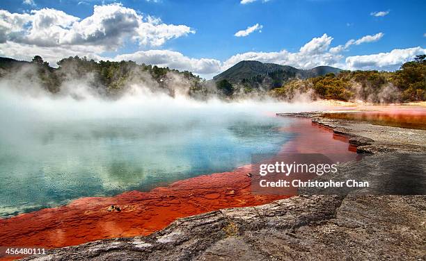 steam rising off a geo-thermal pool - bay of plenty stock pictures, royalty-free photos & images
