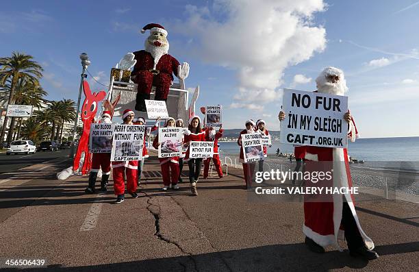 Members of the French anti-fur group "CAFT" , dressed up as Santa Claus, demonstrate on December 14 in Nice, southeastern France. AFP PHOTO / VALERY...
