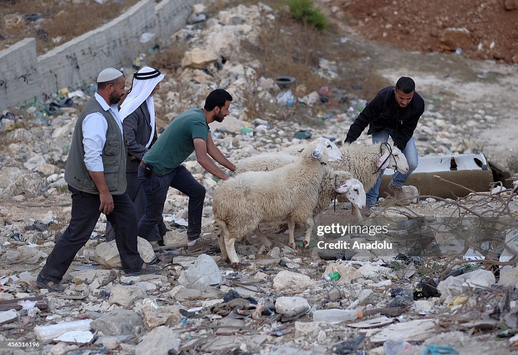 Eid al-Adha preparations in West Bank