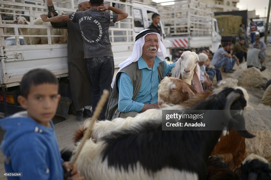 Eid al-Adha preparations in West Bank