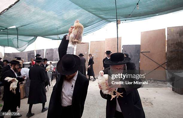 Kaparot Ritual Kaparot Ceremony Performed In Israel Photos and Premium High Res ...