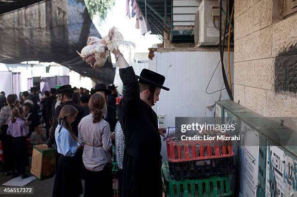Kaparot Ritual Kaparot Ceremony Performed In Israel Photos and Premium High Res ...