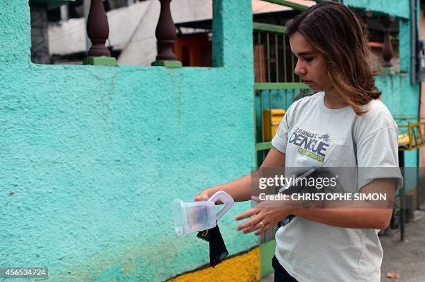 Brazilian biologist Mariane da Rocha Davi releases some of 10,000 Aedes aegypti mosquitoes infected with the Wolbachia bacterium --which reduces...