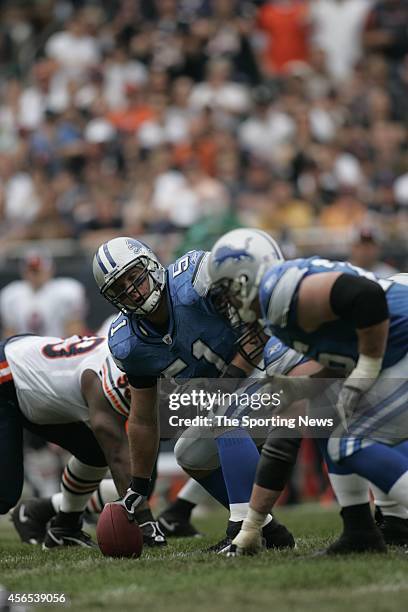 Dominic Raiola of the Detroit Lions at the line of scrimmage during a game against the Chicago Bears on September 17, 2006 at Soldier Field Stadium...