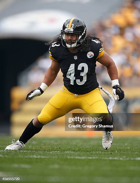 Troy Polamalu of the Pittsburgh Steelers during the game against the Tampa Bay Buccaneers at Heinz Field on September 28, 2014 in Pittsburgh,...