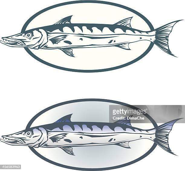 ilustrações, clipart, desenhos animados e ícones de barracuda - barracuda