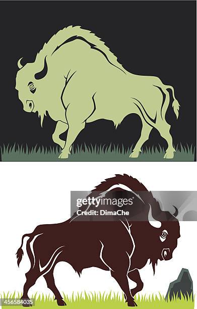stockillustraties, clipart, cartoons en iconen met buffalo - european bison