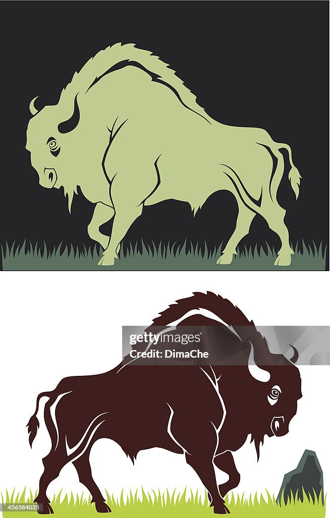 Buffalo