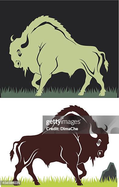 buffalo - bison stock illustrations