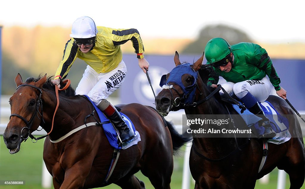 Ascot Races