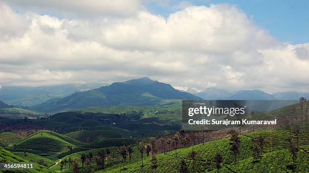 valparai - coimbatore stock pictures, royalty-free photos & images