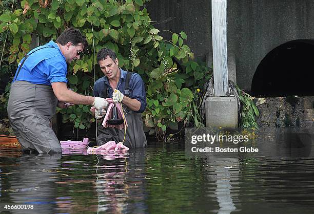 Scott Ruffal 74 Scott Ruffalo Stock Photos, High-Res Pictures, and Images - Getty Images