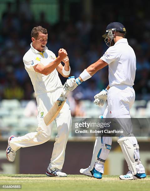 Peter Siddle of Australia celebrates taking the wicket of Matt Prior of England during day three of the Third Ashes Test Match between Australia and...