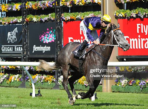 Dwayne Dunn riding Chautauqua winning Race 5, the Gilgai Stakes during Turnbull Stakes Day at Flemington Racecourse on October 4, 2014 in Melbourne,...