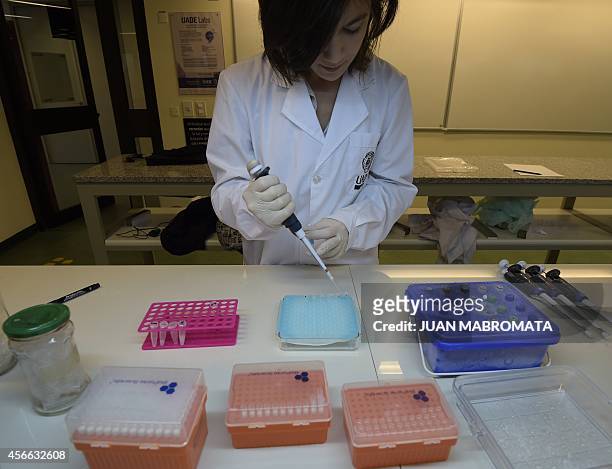University professor Julieta Nafissi works in her scientists project at the biotechnology lab of the UADE in Buenos Aires on September 23, 2014. AFP...