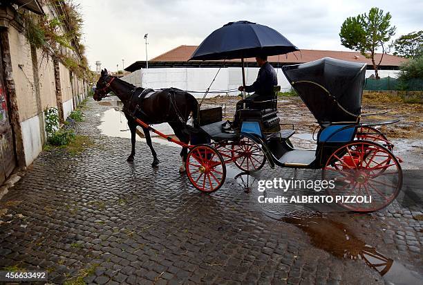 Angelo Sed, president of the Romans horse-drawn carriage drivers and his horse "Inventore" arrive at the stable after a day of work on October 2,...