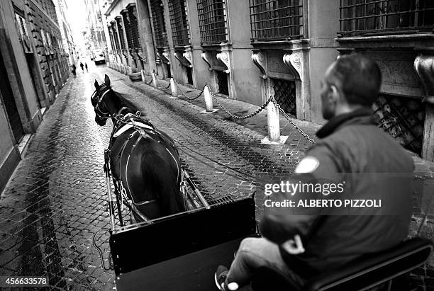 Angelo Sed, president of the Romans horse-drawn carriage drivers and his horse "Inventore" are on their way to work early on October 2, 2014 in Rome....