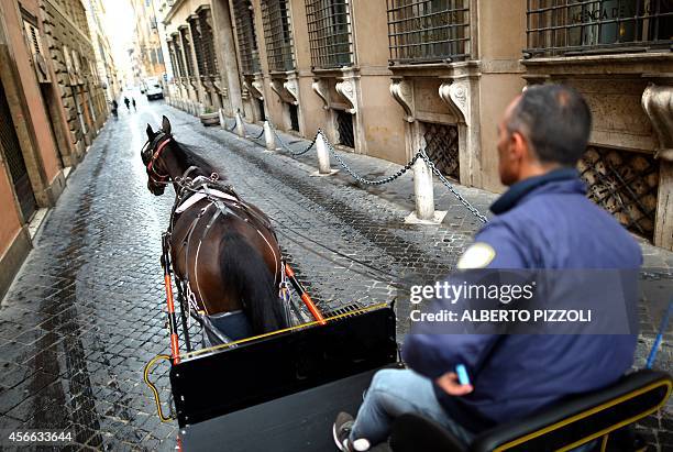 Angelo Sed, president of the Romans horse-drawn carriage drivers and his horse "Inventore" are on their way to work early on October 2, 2014 in Rome....