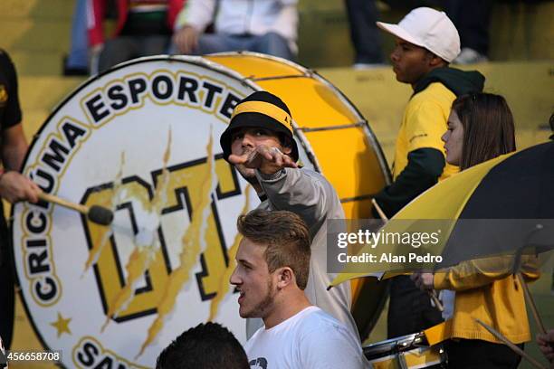 Supporters of Criciuma cheer their team during the match between Criciuma and Atletico MG for the Brazilian Series A 2014 at Heriberto Hulse Stadium...