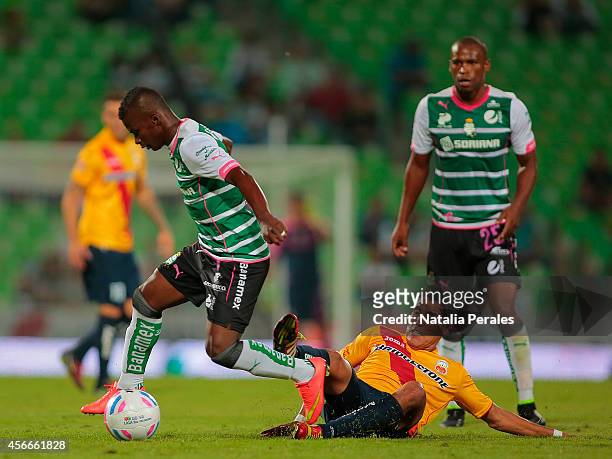 Carlos Darwin Quintero of Santos avoids a defender's slide during a match between Santos Laguna and Morelia as part of 12th round Apertura 2014 Liga...