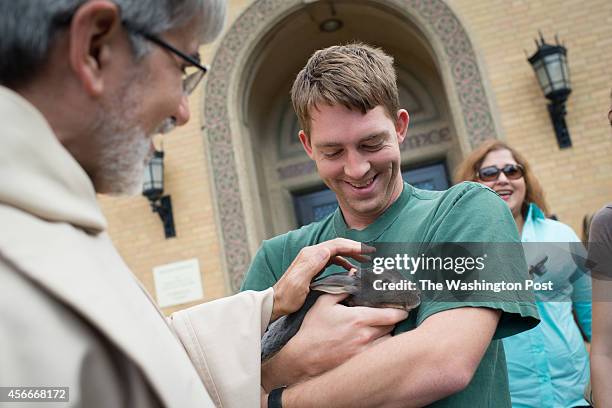 23 Mini Rex Rabbit Stock Photos, High-Res Pictures, and Images - Getty ...