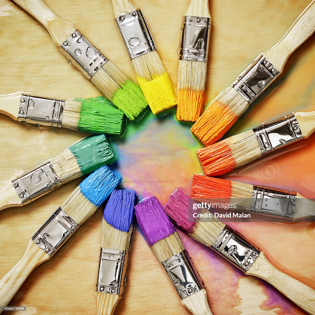 Wet colour wheel with paint brushes
