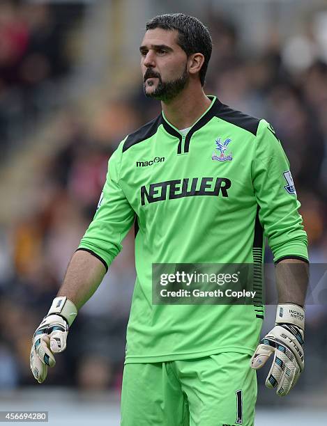 Julian Speroni of Crystal Palace during the Barclays Premier League match between Hull City and Crystal Palace at KC Stadium on October 4, 2014 in...