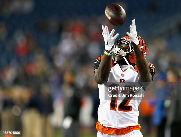 Cincinnati Bengals v New England Patriots Cincinnati Bengals v New England Patriots