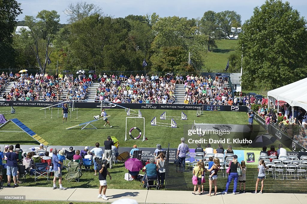 2014 Purina Incredible Dog Challenge