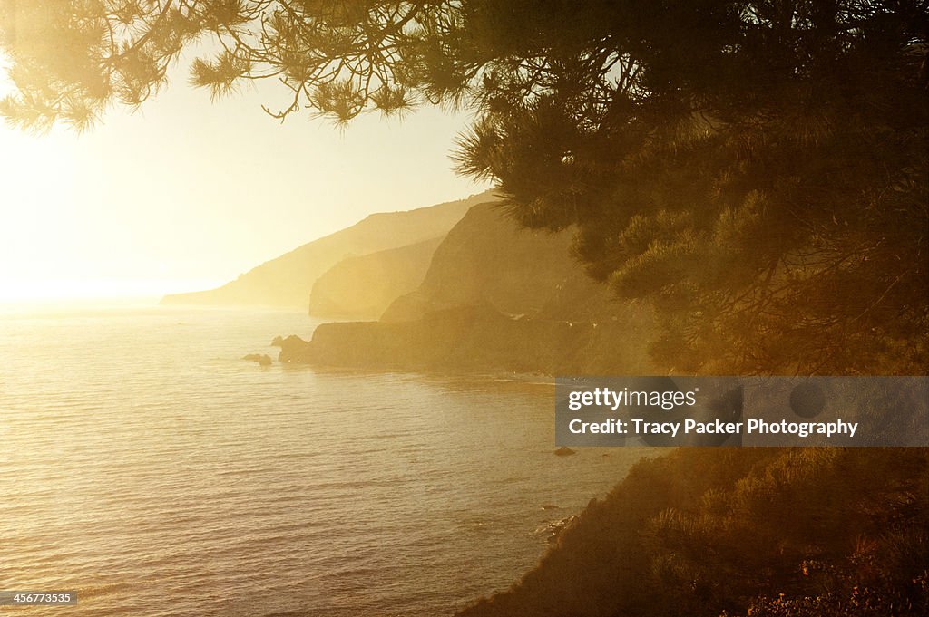 Golden Hour on the Big Sur Coastline.