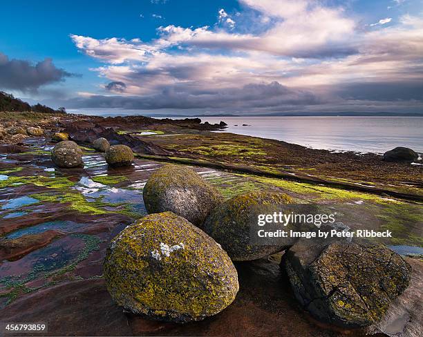 215 Peter Ribbeck And Stock Photos, High-Res Pictures, and Images ...