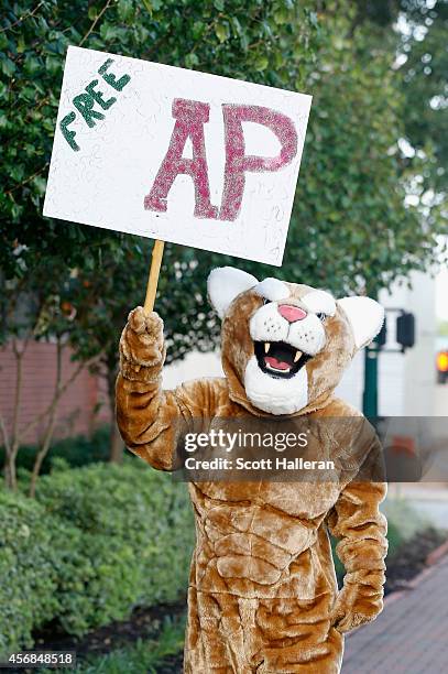 Fan wears a wildcat suit in support of NFL player Adrian Peterson of the Minnesota Vikings as Petersen prepares to arrive at a court appearance at...