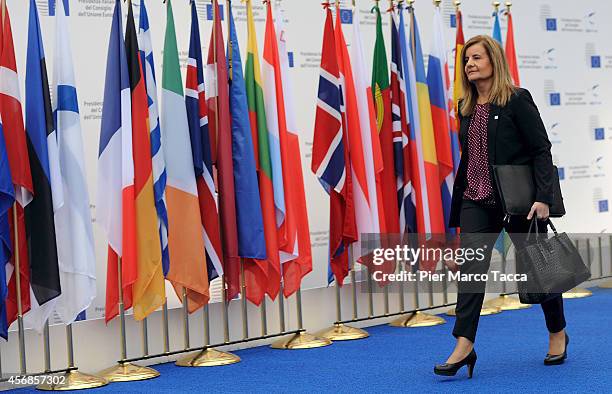 Minister of Employment and Social security Maria Fatima Banez Garcia arrives at the Conference on Employment in Europe on October 8, 2014 in Milan,...