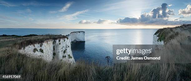 chalk cliffs and sea stacks - baie de studland photos et images de collection