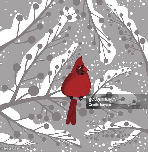 cardinal bird - red socks stock illustrations
